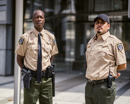 Entry Area Security Service in Los Angeles